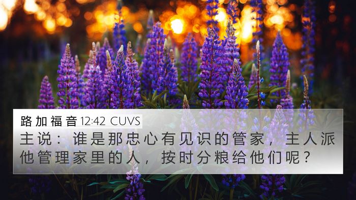路 加 福 音 12:42 CUVS Bible Verse Image