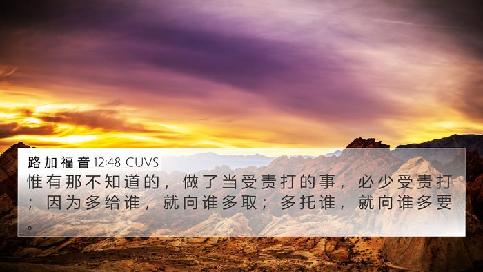 路 加 福 音 12:48 CUVS Bible Verse Image