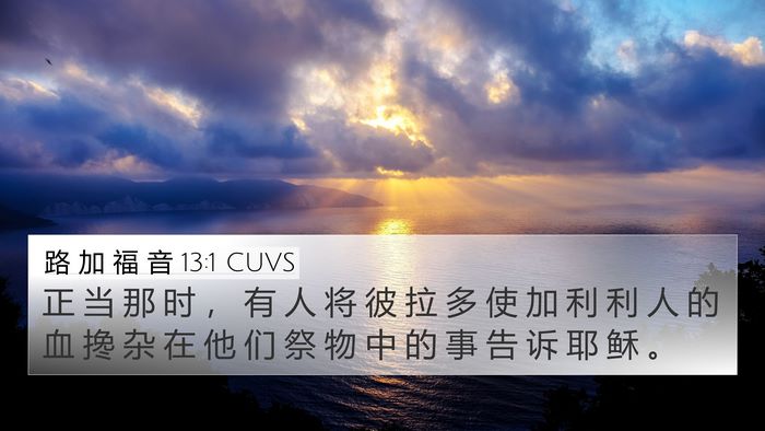 路 加 福 音 13:1 CUVS Bible Verse Image