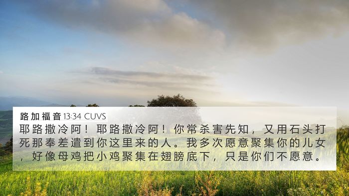路 加 福 音 13:34 CUVS Bible Verse Image