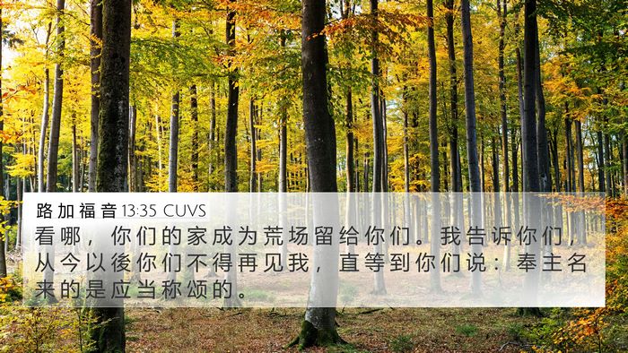 路 加 福 音 13:35 CUVS Bible Verse Image