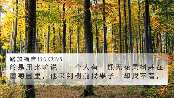 路 加 福 音 13:6 CUVS 4K Wallpaper - 於 是 用 比 喻 说 ： 一 个 人 有 一 - 4K Wallpaper Bible Verse