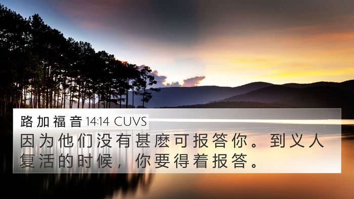 路 加 福 音 14:14 CUVS Bible Verse Image