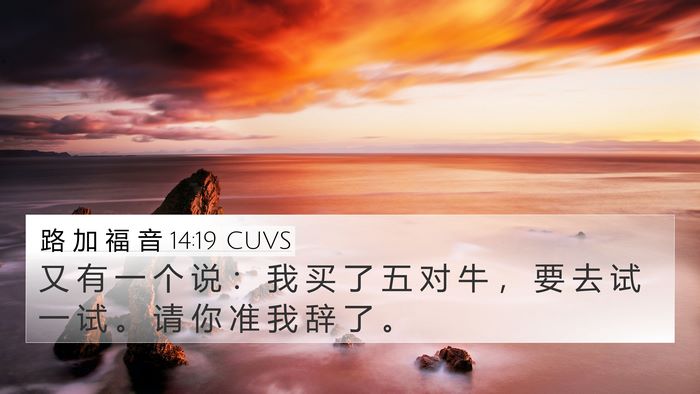 路 加 福 音 14:19 CUVS 4K Wallpaper - 又 有 一 个 说 ： 我 买 了 五 对 牛 - 4K Wallpaper Bible Verse