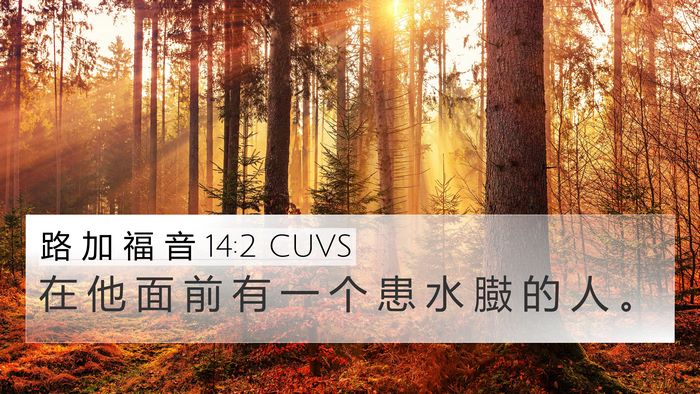 路 加 福 音 14:2 CUVS 4K Wallpaper - 在 他 面 前 有 一 个 患 水 臌 的 人 - 4K Wallpaper Bible Verse