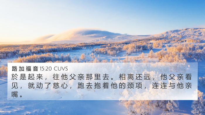 路 加 福 音 15:20 CUVS Bible Verse Image