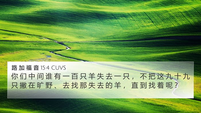 路 加 福 音 15:4 CUVS Bible Verse Image