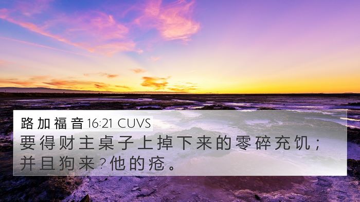 路 加 福 音 16:21 CUVS Bible Verse Image
