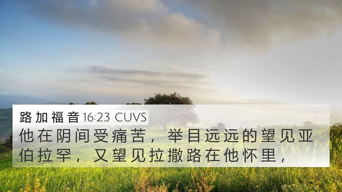 路 加 福 音 16:23 CUVS Bible Verse Image