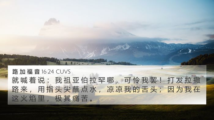 路 加 福 音 16:24 CUVS Bible Verse Image