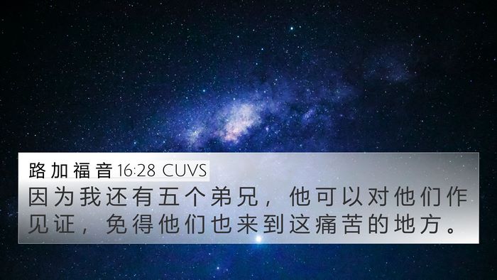 路 加 福 音 16:28 CUVS 4K Wallpaper - 因 为 我 还 有 五 个 弟 兄 ， 他 可 - 4K Wallpaper Bible Verse