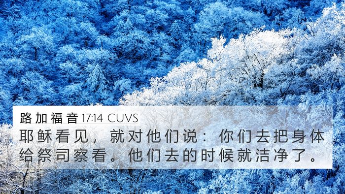 路 加 福 音 17:14 CUVS Bible Verse Image