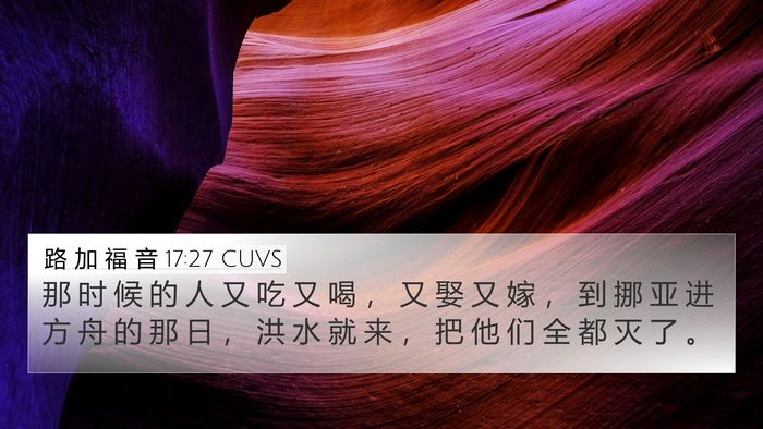 路 加 福 音 17:27 CUVS Bible Verse Image