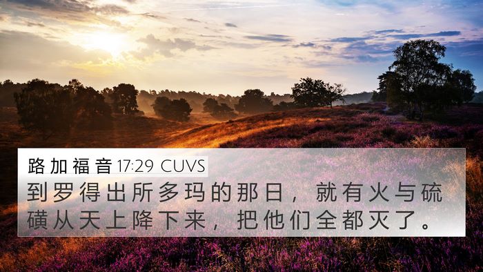 路 加 福 音 17:29 CUVS Bible Verse Image
