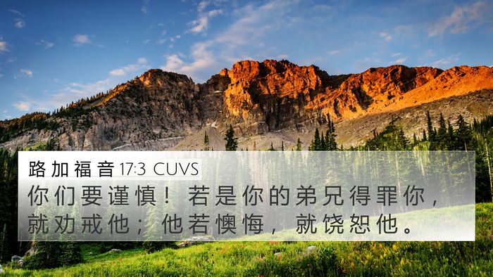 路 加 福 音 17:3 CUVS Bible Verse Image