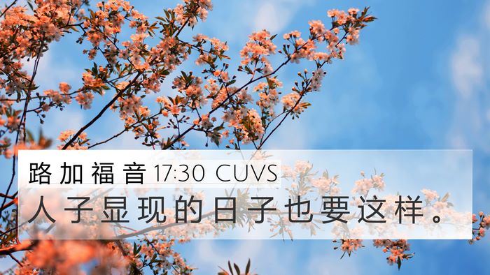路 加 福 音 17:30 CUVS Bible Verse Image