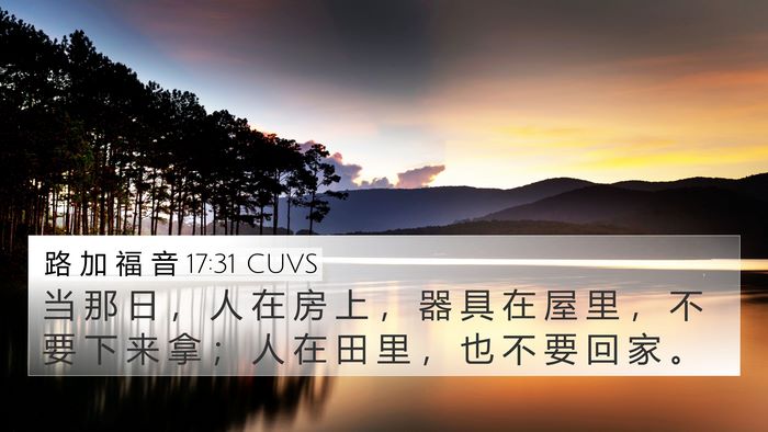 路 加 福 音 17:31 CUVS Bible Verse Image