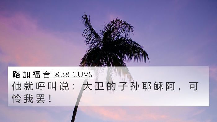 路 加 福 音 18:38 CUVS Bible Verse Image
