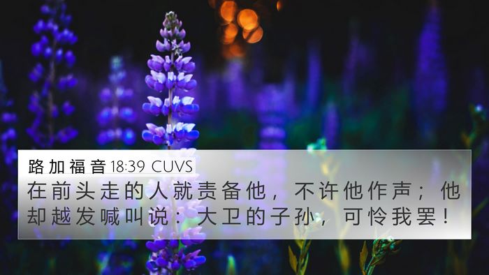 路 加 福 音 18:39 CUVS Bible Verse Image