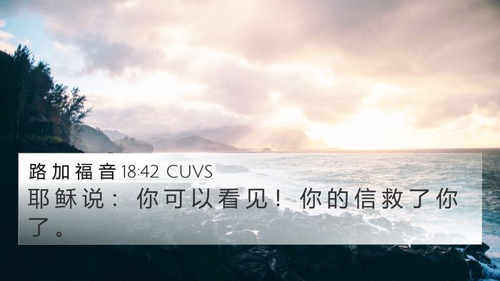 路 加 福 音 18:42 CUVS Bible Verse Image