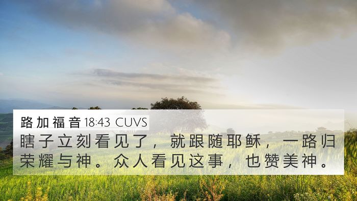 路 加 福 音 18:43 CUVS Bible Verse Image