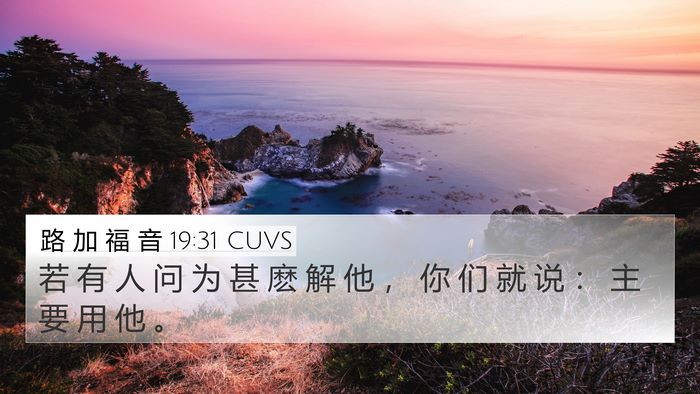 路 加 福 音 19:31 CUVS Bible Verse Image