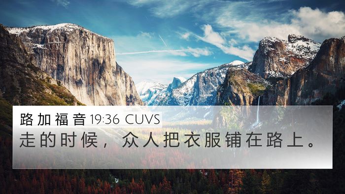 路 加 福 音 19:36 CUVS 4K Wallpaper - 走 的 时 候 ， 众 人 把 衣 服 铺 在 - 4K Wallpaper Bible Verse