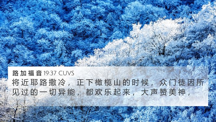 路 加 福 音 19:37 CUVS Bible Verse Image