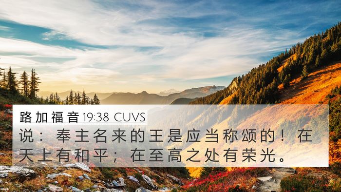 路 加 福 音 19:38 CUVS Bible Verse Image