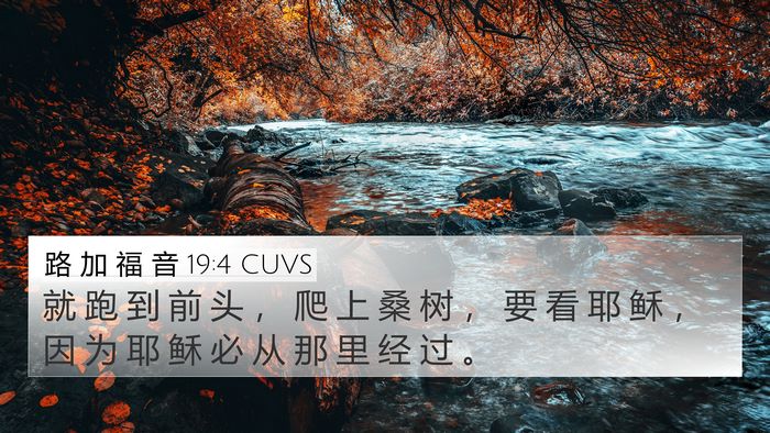 路 加 福 音 19:4 CUVS Bible Verse Image