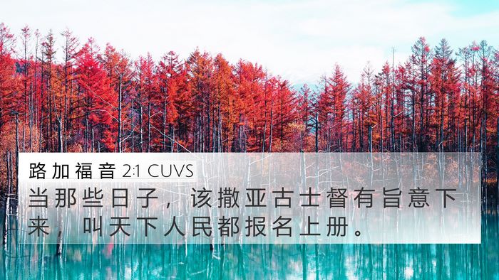 路 加 福 音 2:1 CUVS Bible Verse Image