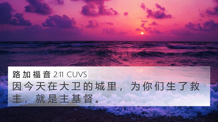 路 加 福 音 2:11 CUVS 4K Wallpaper - 因 今 天 在 大 卫 的 城 里 ， 为 你 - 4K Wallpaper Bible Verse