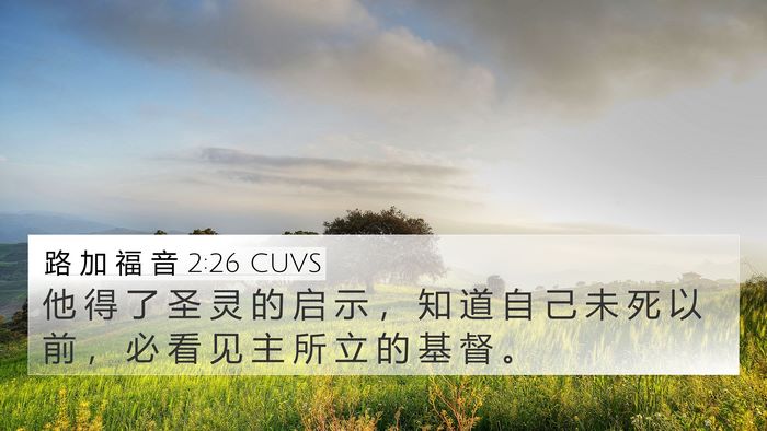 路 加 福 音 2:26 CUVS Bible Verse Image