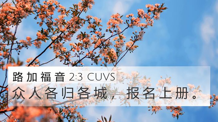 路 加 福 音 2:3 CUVS 4K Wallpaper - 众 人 各 归 各 城 ， 报 名 上 册 - 4K Wallpaper Bible Verse