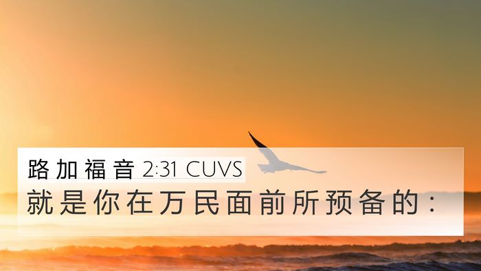 路 加 福 音 2:31 CUVS 4K Wallpaper - 就 是 你 在 万 民 面 前 所 预 备 的 - 4K Wallpaper Bible Verse