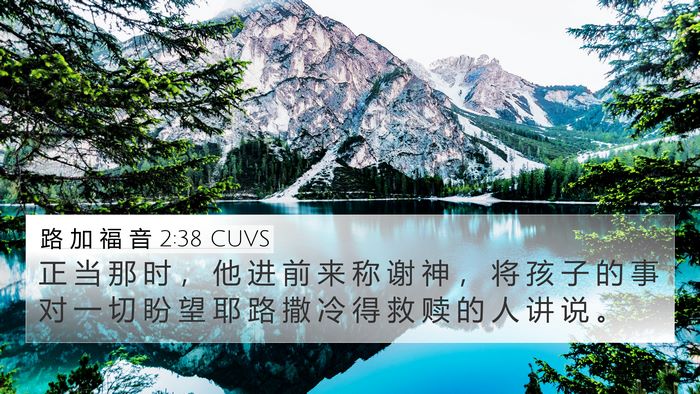 路 加 福 音 2:38 CUVS Bible Verse Image