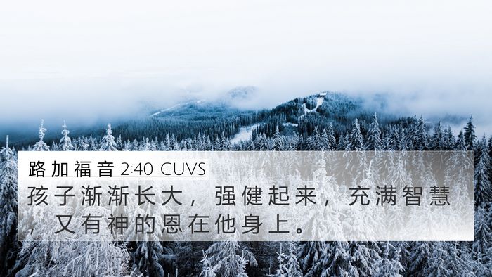 路 加 福 音 2:40 CUVS Bible Verse Image
