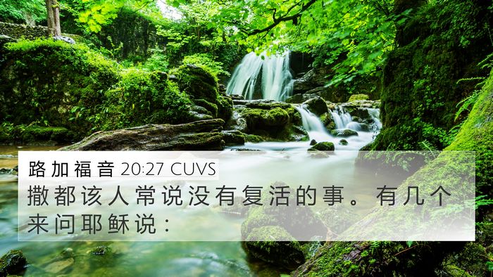路 加 福 音 20:27 CUVS Bible Verse Image