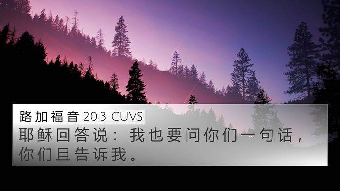 路 加 福 音 20:3 CUVS 4K Wallpaper - 耶 稣 回 答 说 ： 我 也 要 问 你 们 - 4K Wallpaper Bible Verse