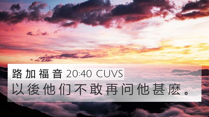 路 加 福 音 20:40 CUVS 4K Wallpaper - 以 後 他 们 不 敢 再 问 他 甚 麽 - 4K Wallpaper Bible Verse