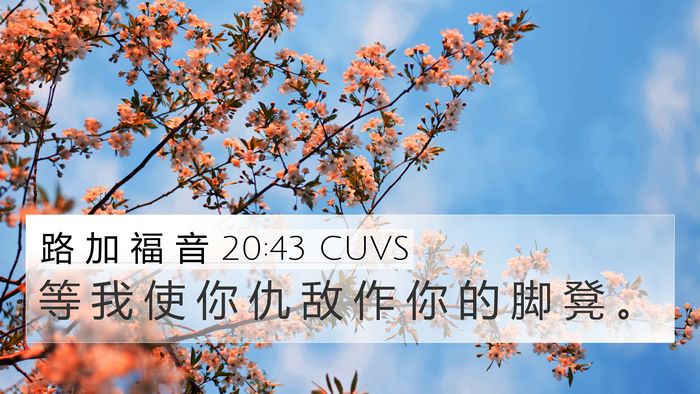 路 加 福 音 20:43 CUVS 4K Wallpaper - 等 我 使 你 仇 敌 作 你 的 脚 凳 - 4K Wallpaper Bible Verse