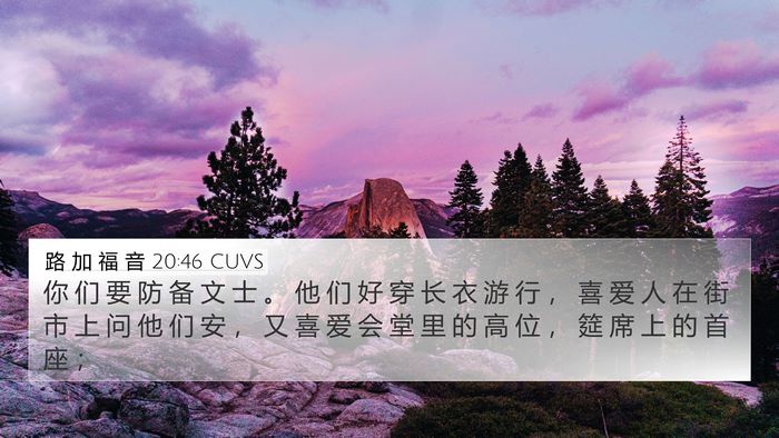 路 加 福 音 20:46 CUVS Bible Verse Image