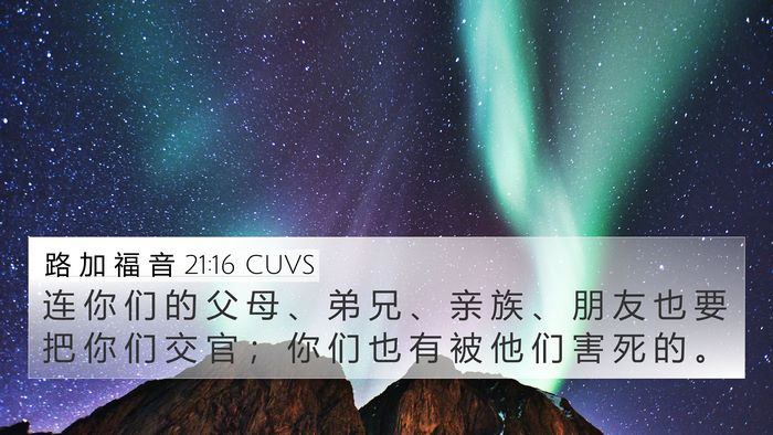 路 加 福 音 21:16 CUVS Bible Verse Image