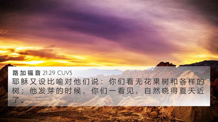 路 加 福 音 21:29 CUVS 4K Wallpaper - 耶 稣 又 设 比 喻 对 他 们 说 ： 你 - 4K Wallpaper Bible Verse