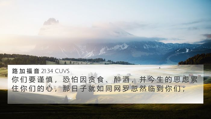 路 加 福 音 21:34 CUVS Bible Verse Image