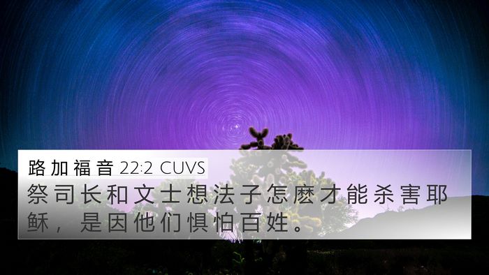 路 加 福 音 22:2 CUVS 4K Wallpaper - 祭 司 长 和 文 士 想 法 子 怎 麽 才 - 4K Wallpaper Bible Verse