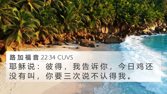 路 加 福 音 22:34 CUVS Bible Verse Image