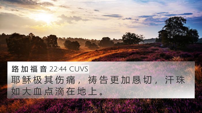路 加 福 音 22:44 CUVS Bible Verse Image
