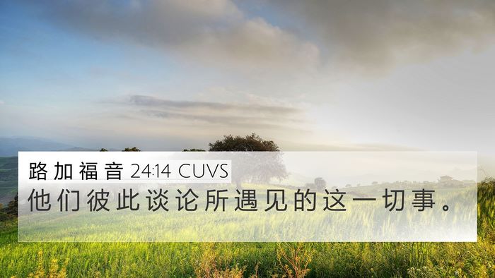路 加 福 音 24:14 CUVS 4K Wallpaper - 他 们 彼 此 谈 论 所 遇 见 的 这 一 - 4K Wallpaper Bible Verse
