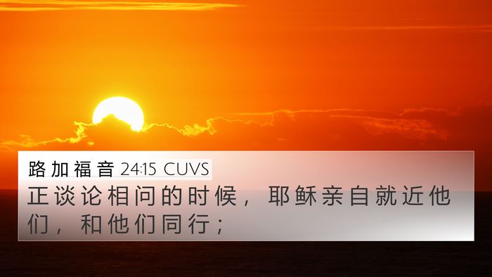 路 加 福 音 24:15 CUVS 4K Wallpaper - 正 谈 论 相 问 的 时 候 ， 耶 稣 亲 - 4K Wallpaper Bible Verse